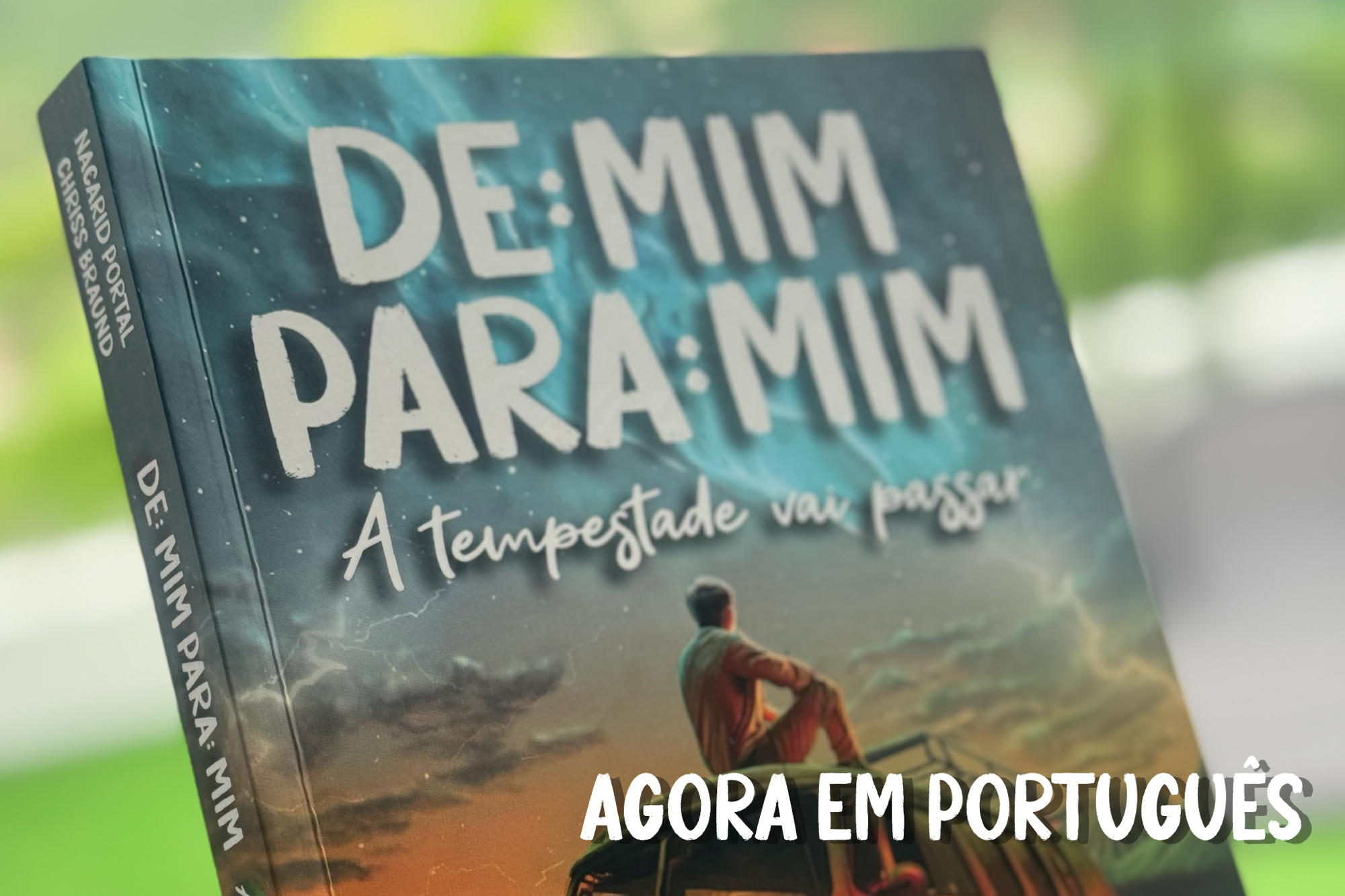 De mim para min, a tempestade vai passar, livro em português
